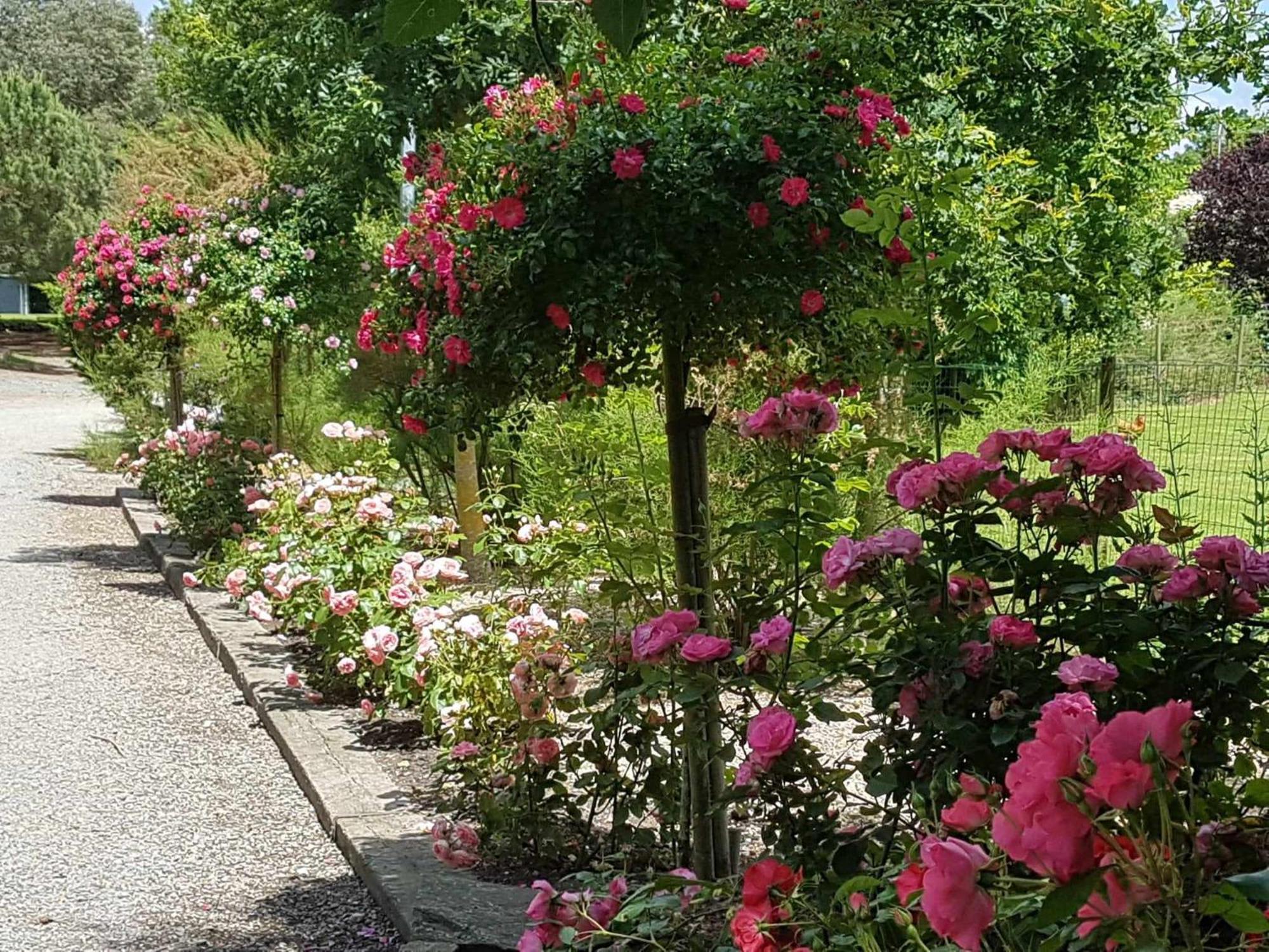 Domaine Les Rousselieres Villa Olonne-sur-Mer Kültér fotó