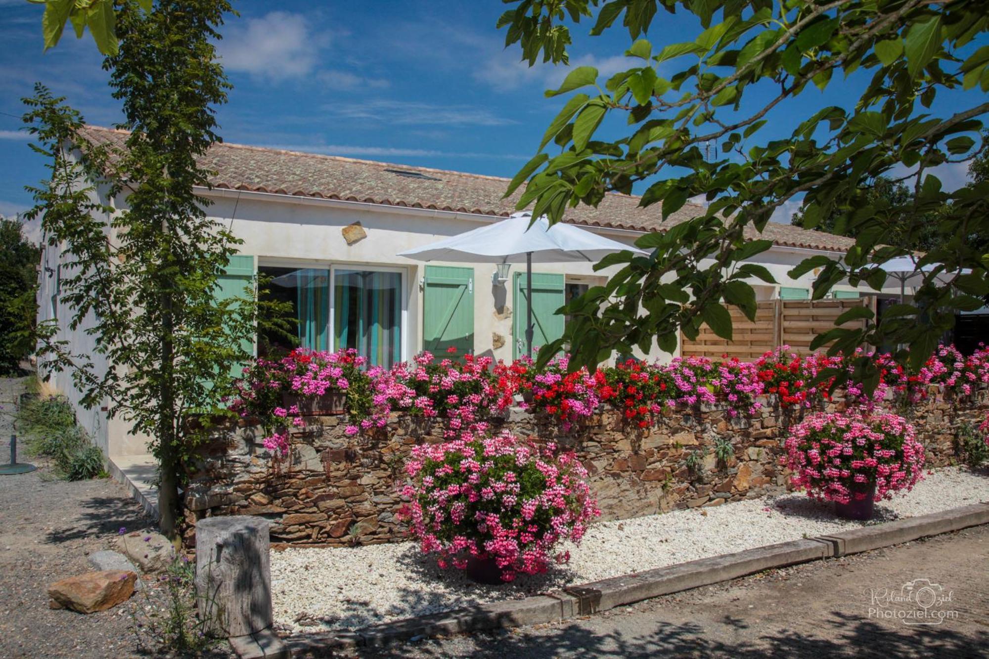 Domaine Les Rousselieres Villa Olonne-sur-Mer Kültér fotó