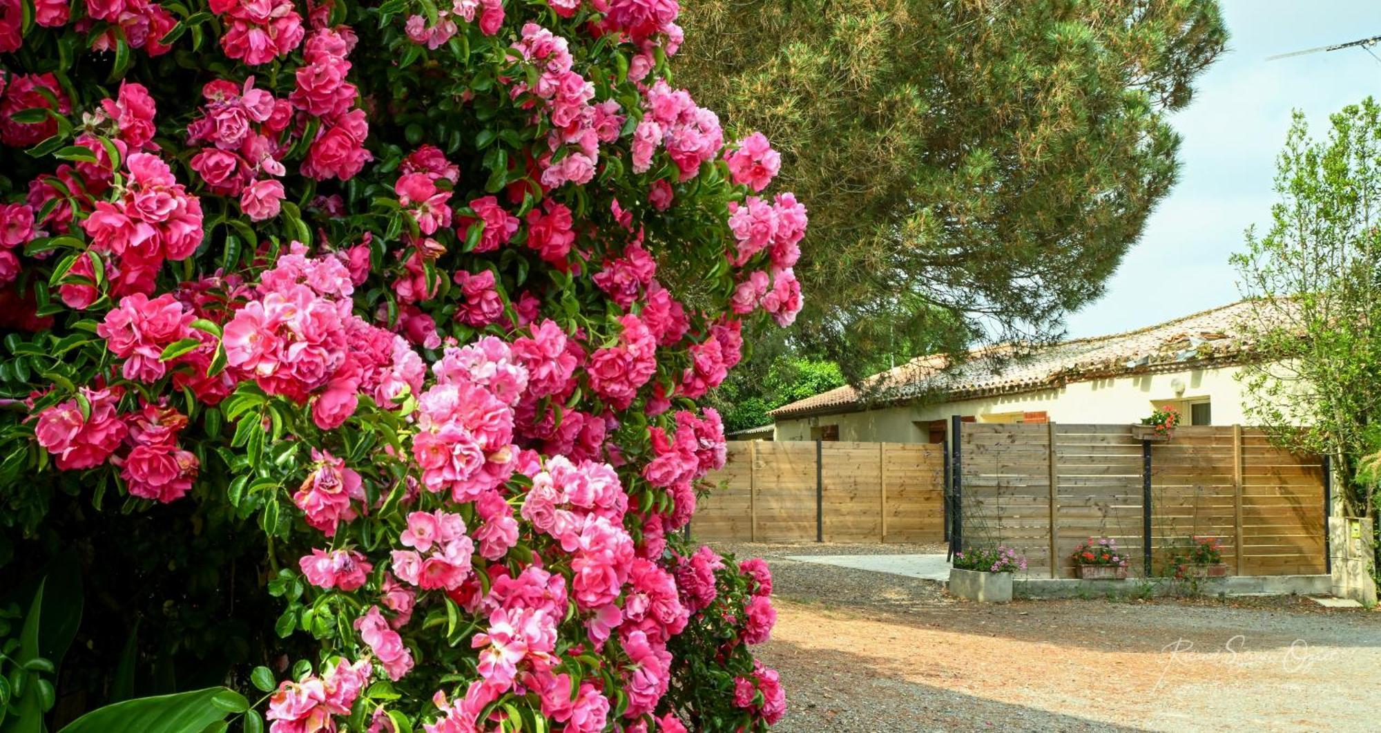 Domaine Les Rousselieres Villa Olonne-sur-Mer Kültér fotó