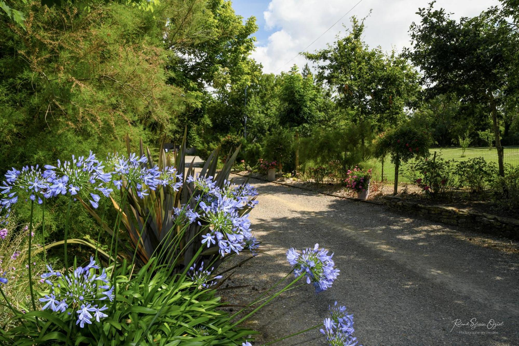 Domaine Les Rousselieres Villa Olonne-sur-Mer Kültér fotó